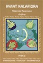Kwiat kalafiora Streszczenie Analiza Interpretacja - Małgorzata Musierowicz 