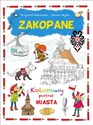 Zakopane. Kolorowy portret miasta pl online bookstore