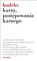 Kodeks karny postępowania karnego books in polish