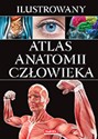 Ilustrowany atlas anatomii człowieka buy polish books in Usa