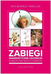 Zabiegi diagnostyczne i lecznicze w medycynie małych zwierząt in polish