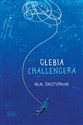 Głębia Challengera  