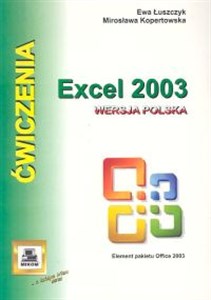 Excel 2003. Ćwiczenia Wersja polska chicago polish bookstore