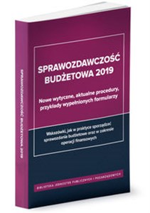 Sprawozdawczość budżetowa 2019 