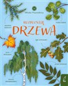 Młodzi przyrodnicy Rozpoznaję drzewa Bookshop