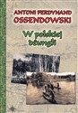 W polskiej dżungli - Antoni Ferdynand Ossendowski