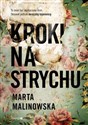 Kroki na strychu Wielkie Litery Polish bookstore