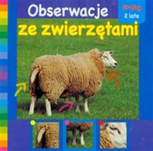 Obserwacje ze zwierzętami   