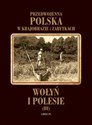 Wołyń i Polesie - Prof. Tadeusz Szydłowski