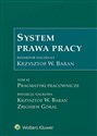 System prawa pracy Tom 11 Pragmatyki pracownicze to buy in USA