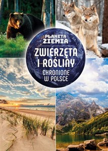 Planeta Ziemia Zwierzęta i rośliny chronione w Polsce  