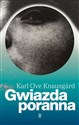 Gwiazda poranna online polish bookstore