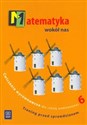 Matematyka wokół nas 6 Ćwiczenia wyrównawcze Szkoła podstawowa books in polish