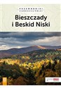 Bieszczady i Beskid Niski Przewodniki z górskiej półki to buy in USA