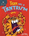 Tiger Has a Tantrum A book about feeling Angry - Polish Bookstore USA