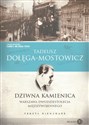 Dziwna kamienica Warszawa dwudziestolecia międzywojennego - Tadeusz Dołęga-Mostowicz online polish bookstore