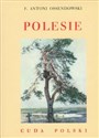 Polesie Cuda Polski - Polish Bookstore USA