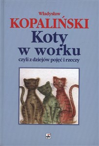 Koty w worku czyli z dziejów pojęć i rzeczy pl online bookstore