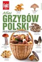 Atlas grzybów Polski  - Marek Snowarski