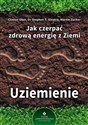 Uziemienie jak czerpać zdrową energię z ziemi Polish bookstore