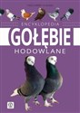 Encyklopedia Gołębie hodowlane buy polish books in Usa