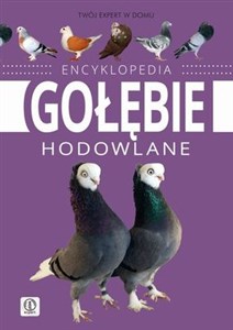 Encyklopedia Gołębie hodowlane buy polish books in Usa