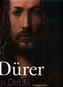 Durer in Detail  