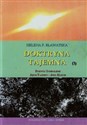 Doktryna tajemna Tom 3 Rozwój symbolizmu Język tajemny - jego klucze in polish