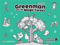 Greenman and the Magic Forest Level A Activity Book to buy in USA