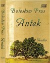 [Audiobook] Antek online polish bookstore