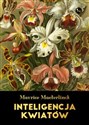 Inteligencja kwiatów Bookshop