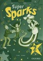 Super Sparks 2 Zeszyt ćwiczeń Szkoła podstawowa - Paul A. Davies, Viv Lambert