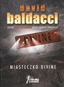 Miasteczko Divine Polish Books Canada