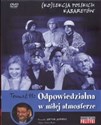 Kolekcja polskich kabaretów 11 Odpowiedzialna w miłej atmosferze Płyta DVD Polish bookstore