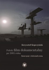 Polski film dokumentalny po 2005 roku. Koncepcje i doświadczenia polish usa