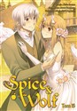 Spice and Wolf. Tom 16  Polish bookstore