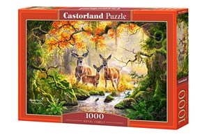 Puzzle 1000 Royal Family Canada Bookstore
