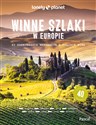Winne szlaki po Europie Polish Books Canada