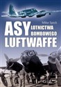 Asy lotnictwa bombowego Luftwaffe Polish bookstore