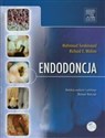 Endodoncja z płytą DVD  