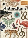 Animalium Muzeum zwierząt Polish Books Canada