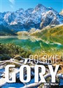 Polskie Góry books in polish