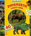 Szablony Zwierzęta lasów i rzek z 40 szablonami Polish Books Canada
