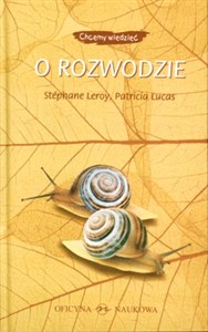 O rozwodzie - Polish Bookstore USA