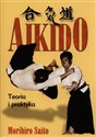 Aikido Teoria i praktyka chicago polish bookstore
