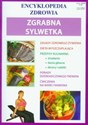 Zgrabna sylwetka Encyklopedia zdrowia - 