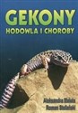 Gekony Hodowla i choroby  