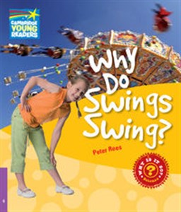 Why Do Swings Swing? Level 4 Factbook - Polish Bookstore USA