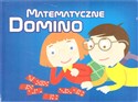 Domino matematyczne  polish books in canada