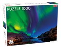 Puzzle Northern Lights in Tromso 1000 - 
